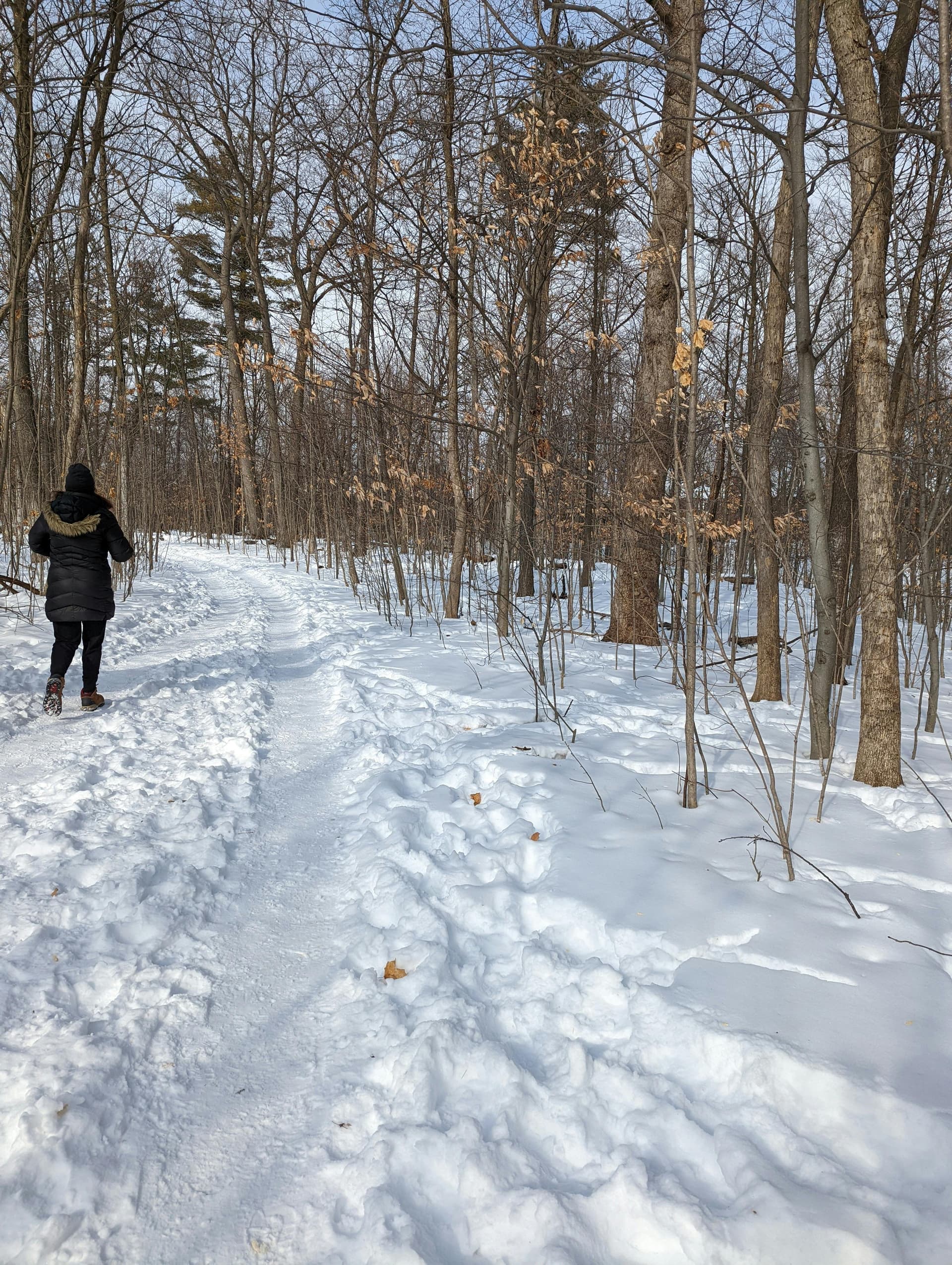 Micro frontends, AI, and Serverless integration