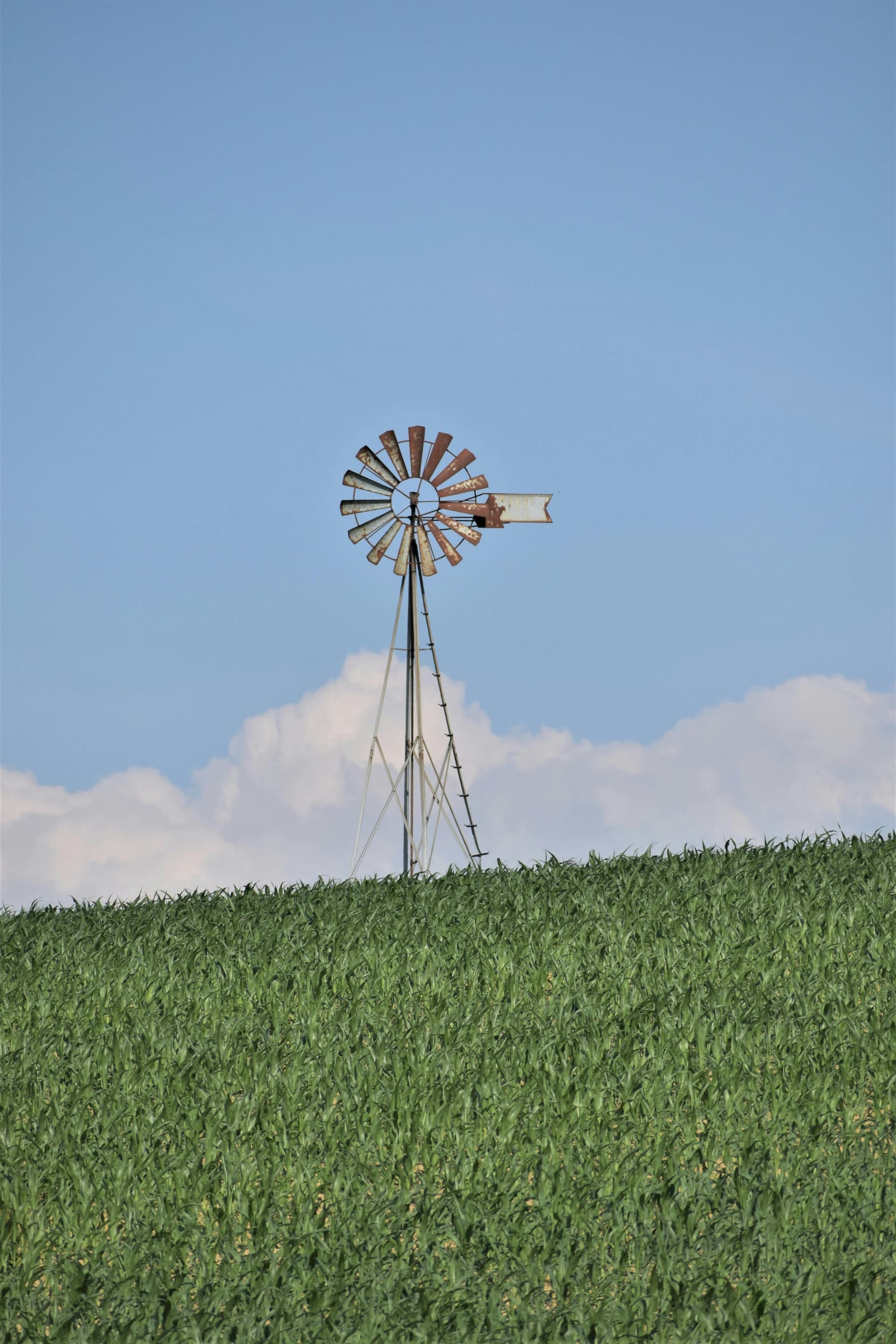 Biotechnology meeting nature in sustainable beauty