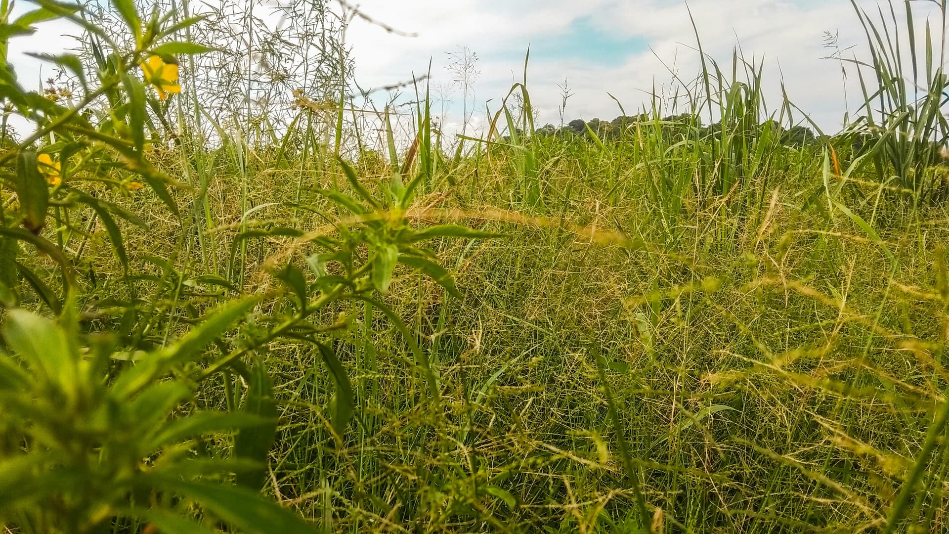 Diverse group showcasing inclusive beauty