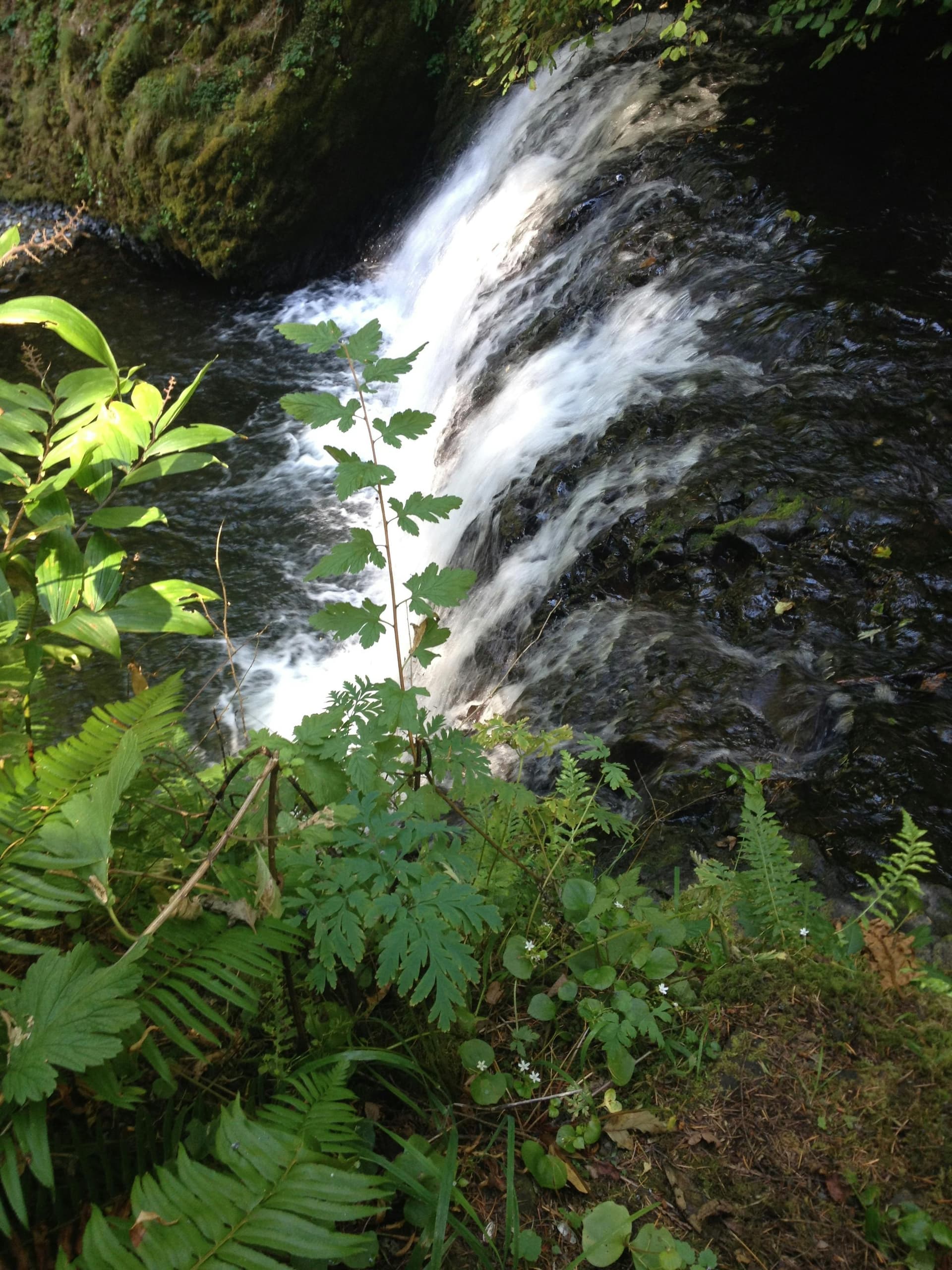 Active note-taking in online class