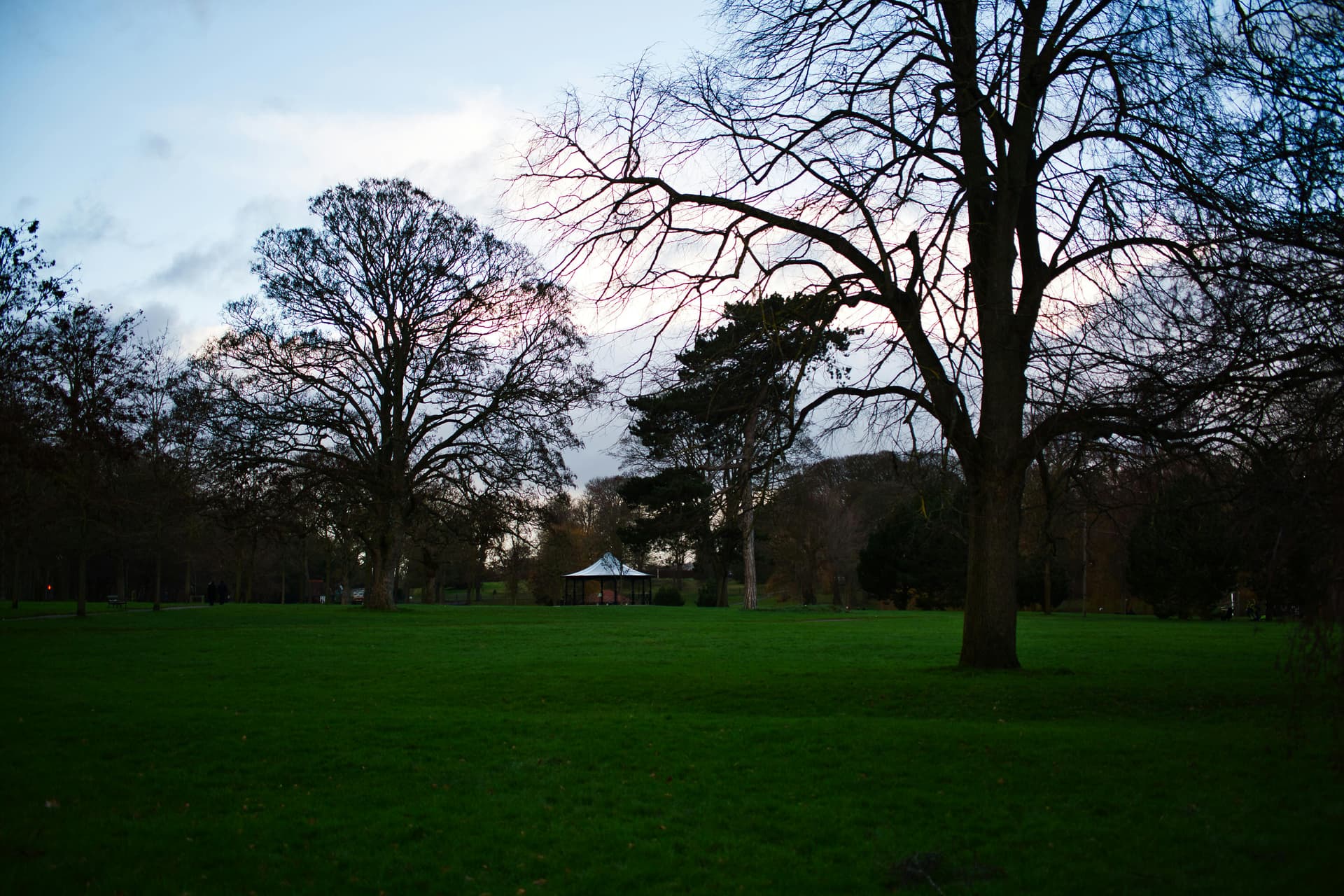 AI assisting with content creation