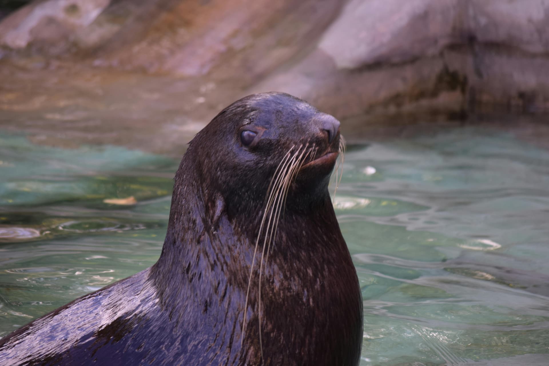 A person taking a high-quality close-up photo of their eye makeup using a smartphone with a creative background