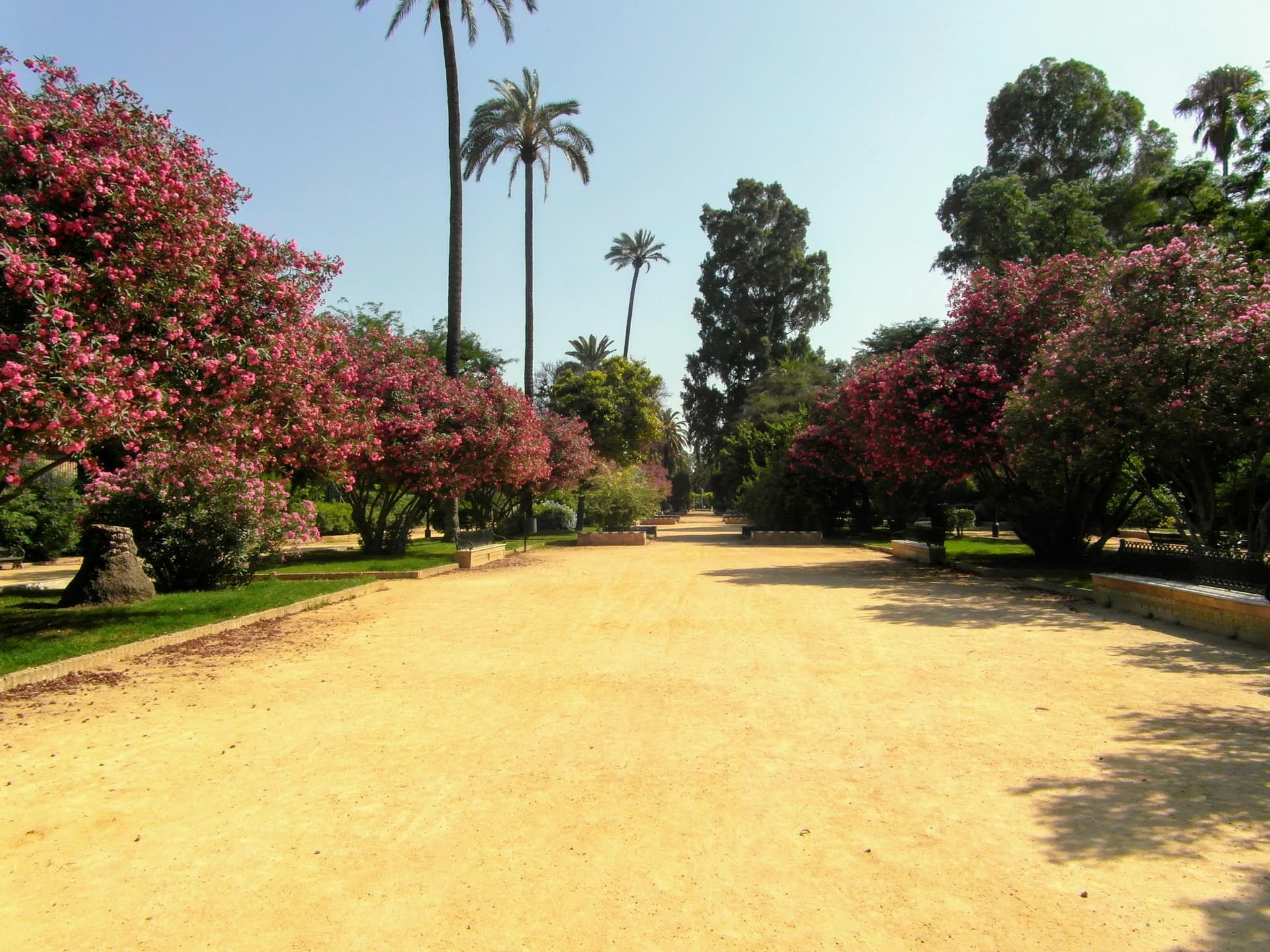 Assortment of sustainable beauty packaging