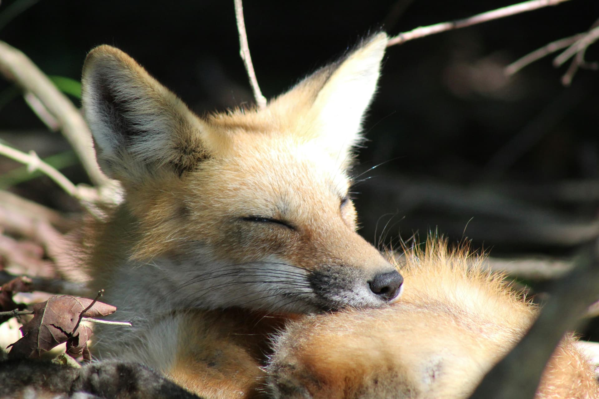 Affiliate marketing concept