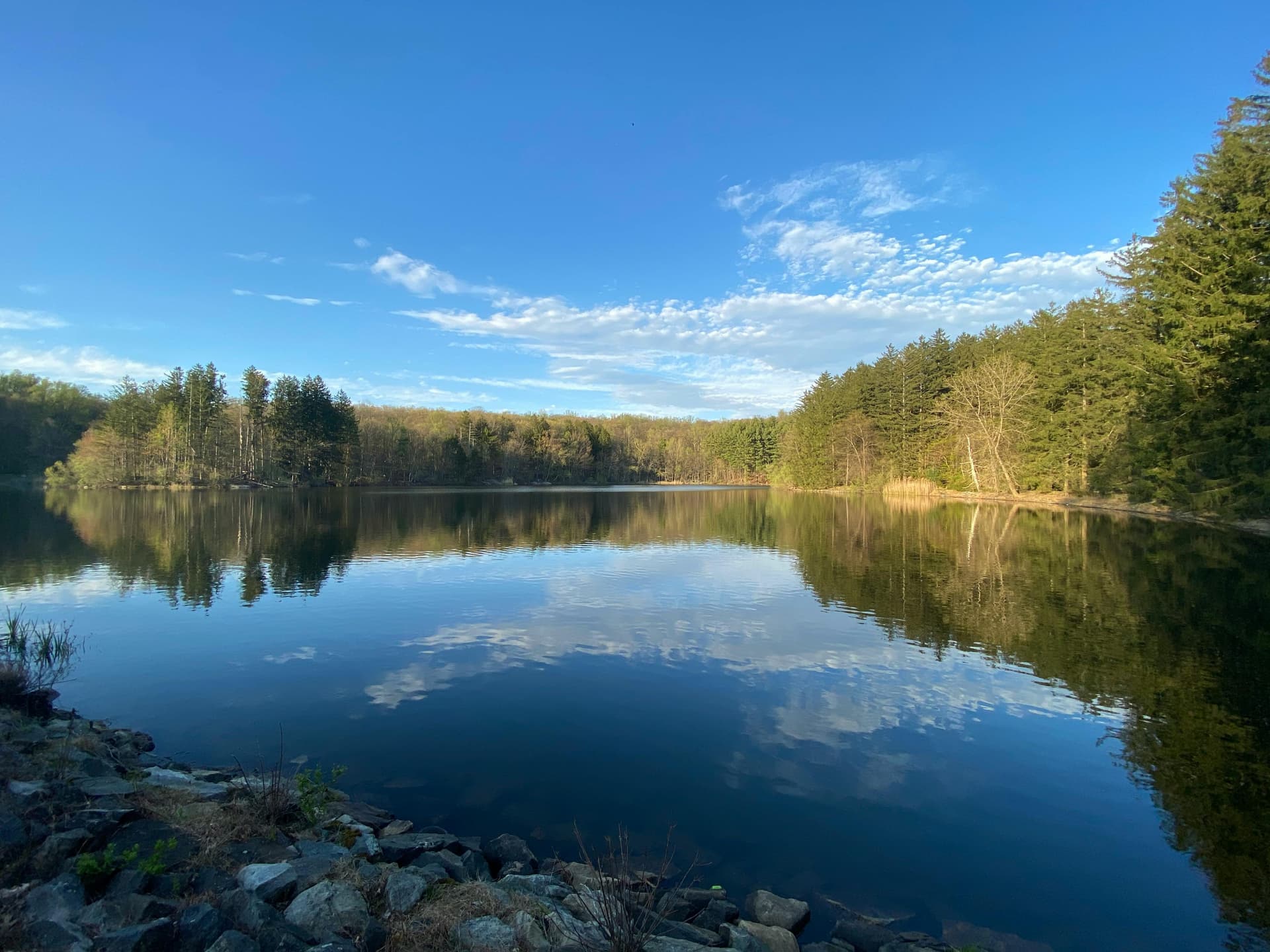 Human and AI Collaboration in Web Development