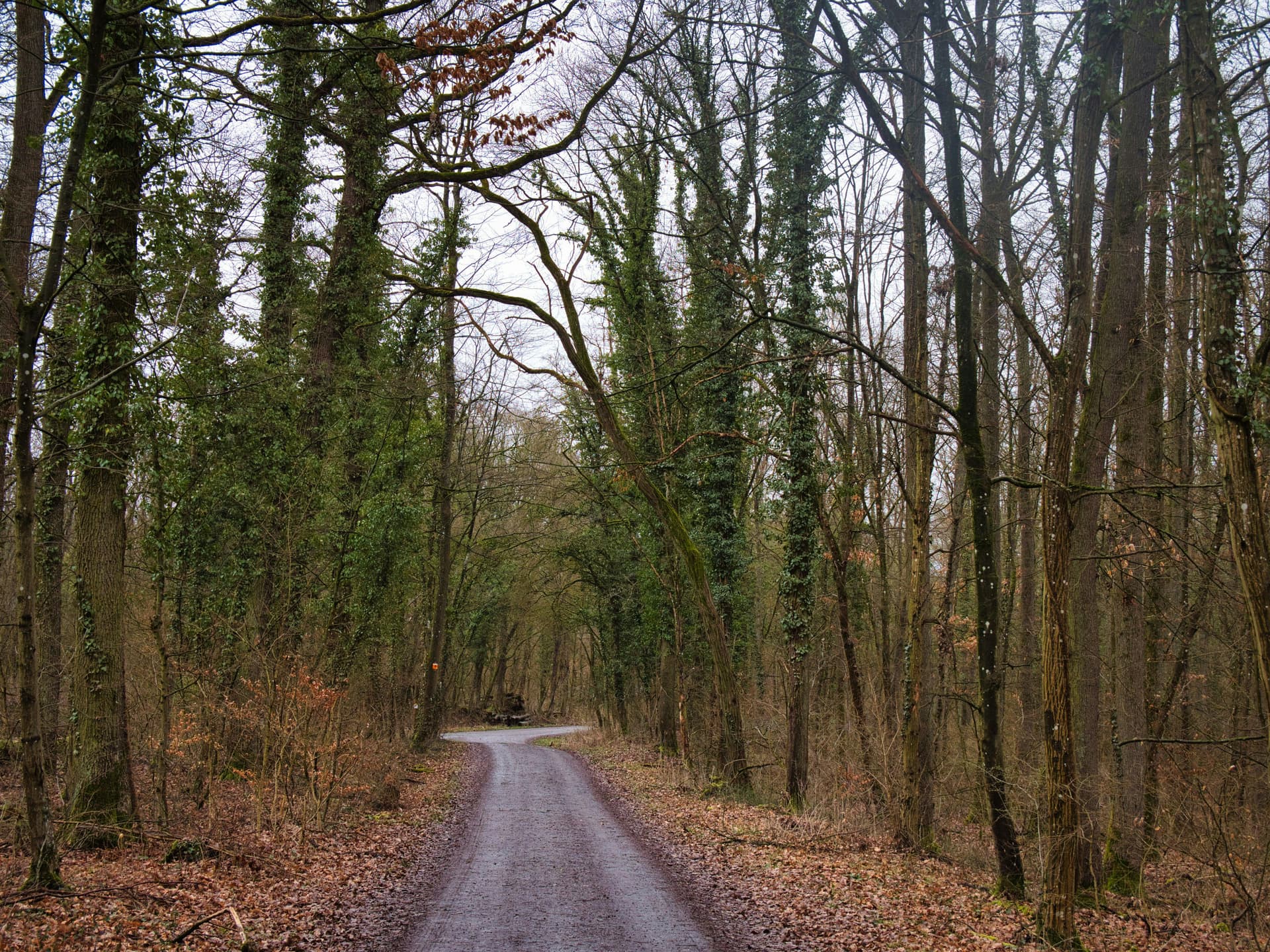 Platforms for selling digital products