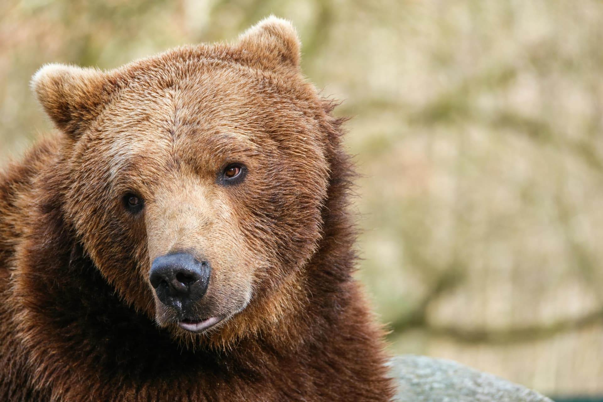Icons representing different online platforms (blog, social media, email) connected to product icons with arrows pointing to a money symbol, illustrating the flow of affiliate marketing.