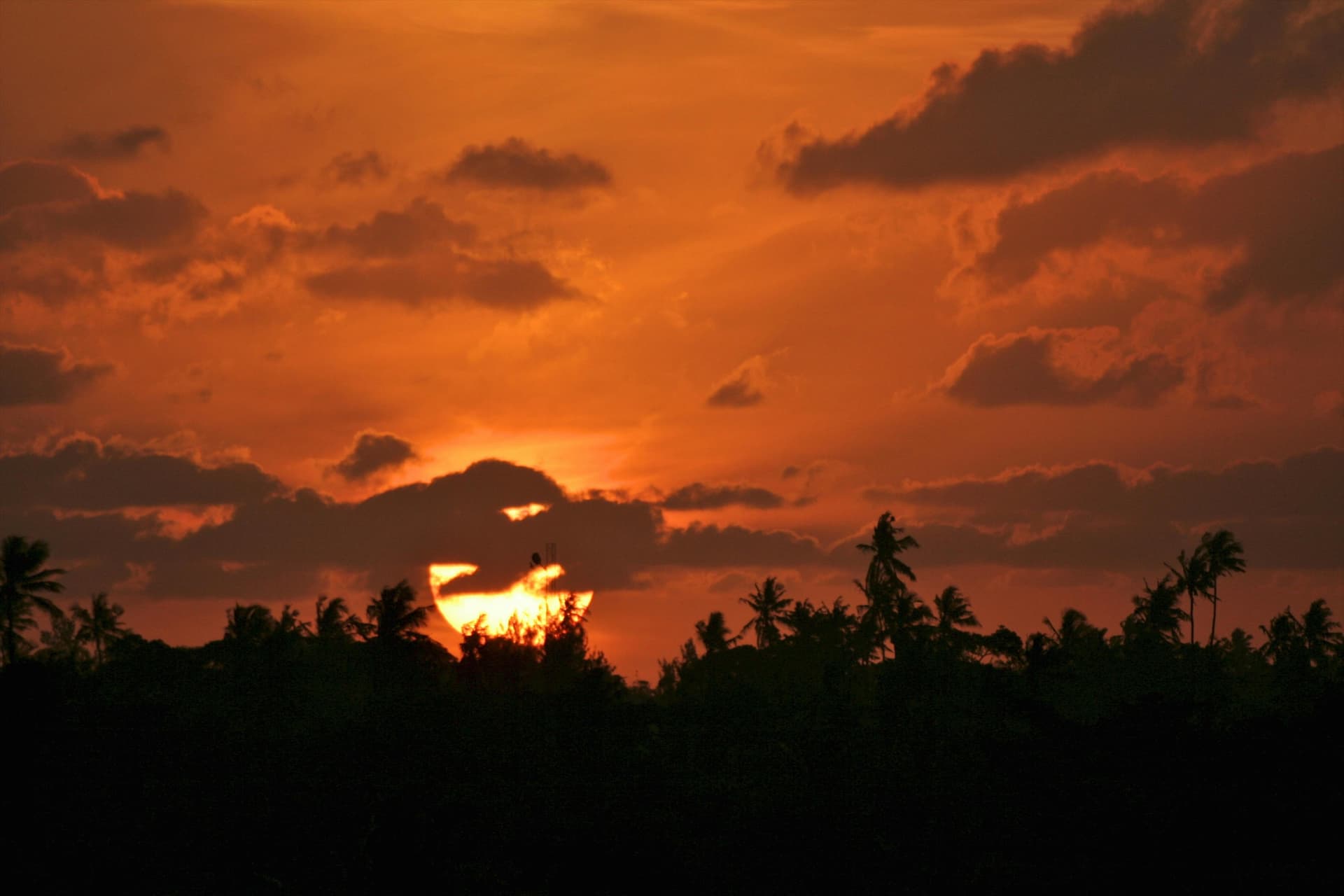 AI personalized learning platform interface