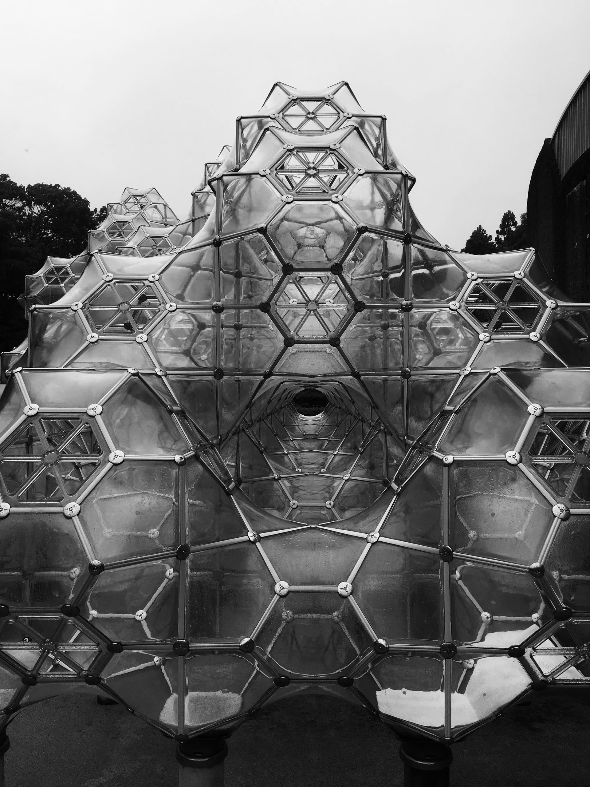 AI and human teachers collaborating