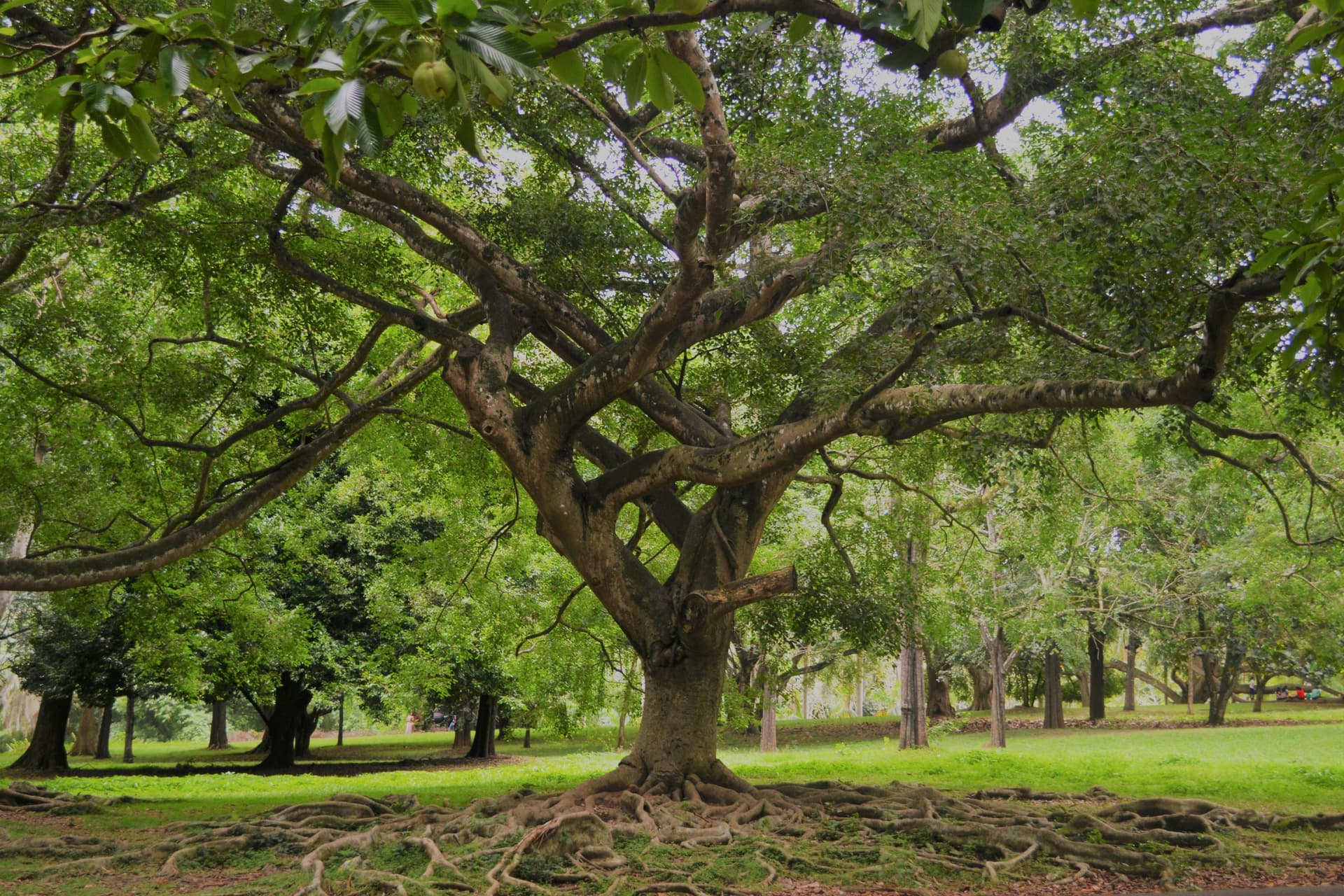 AI transforming beauty industry