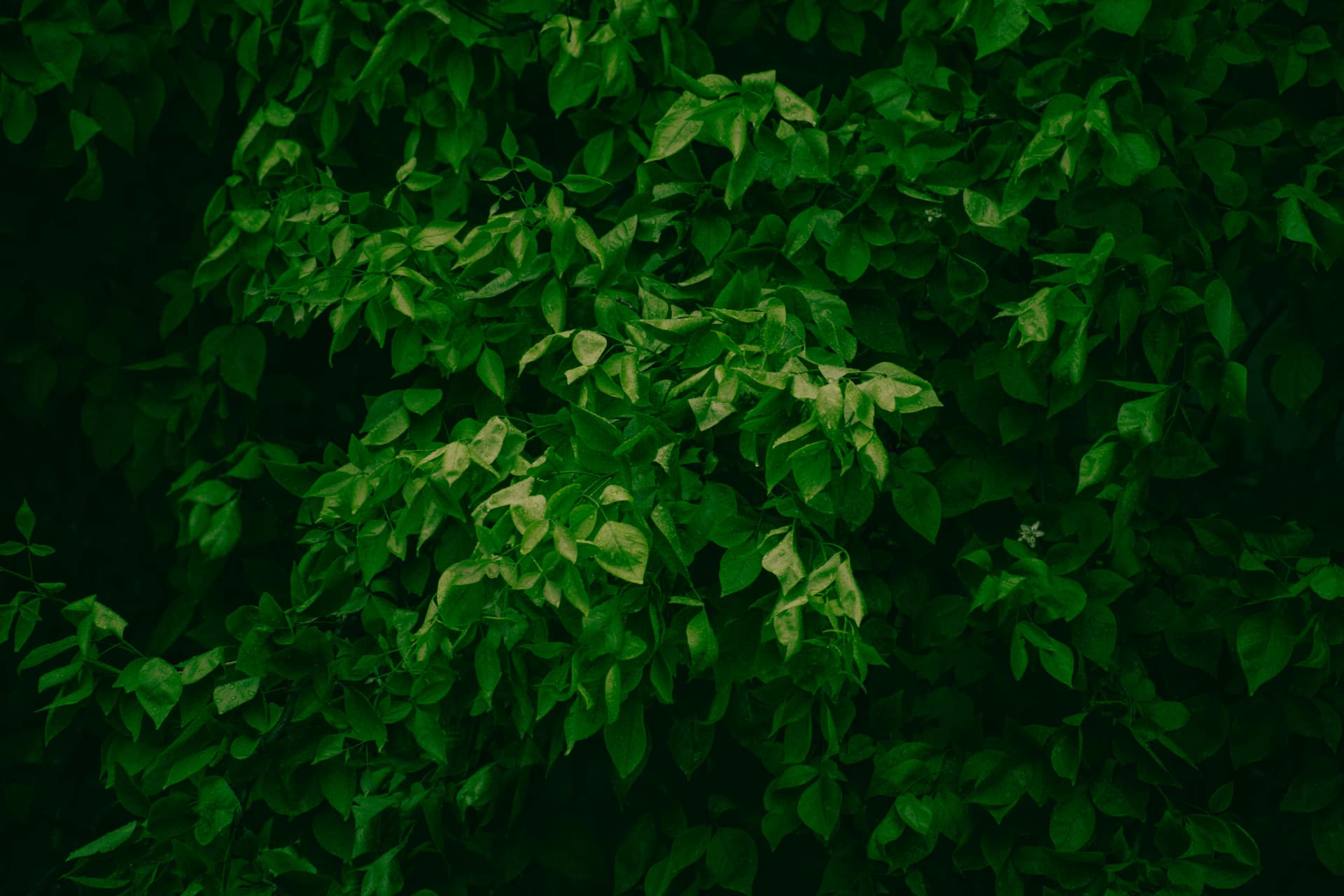 A model wearing a modern grunge eye makeup look with smudged dark liner and blended shadows