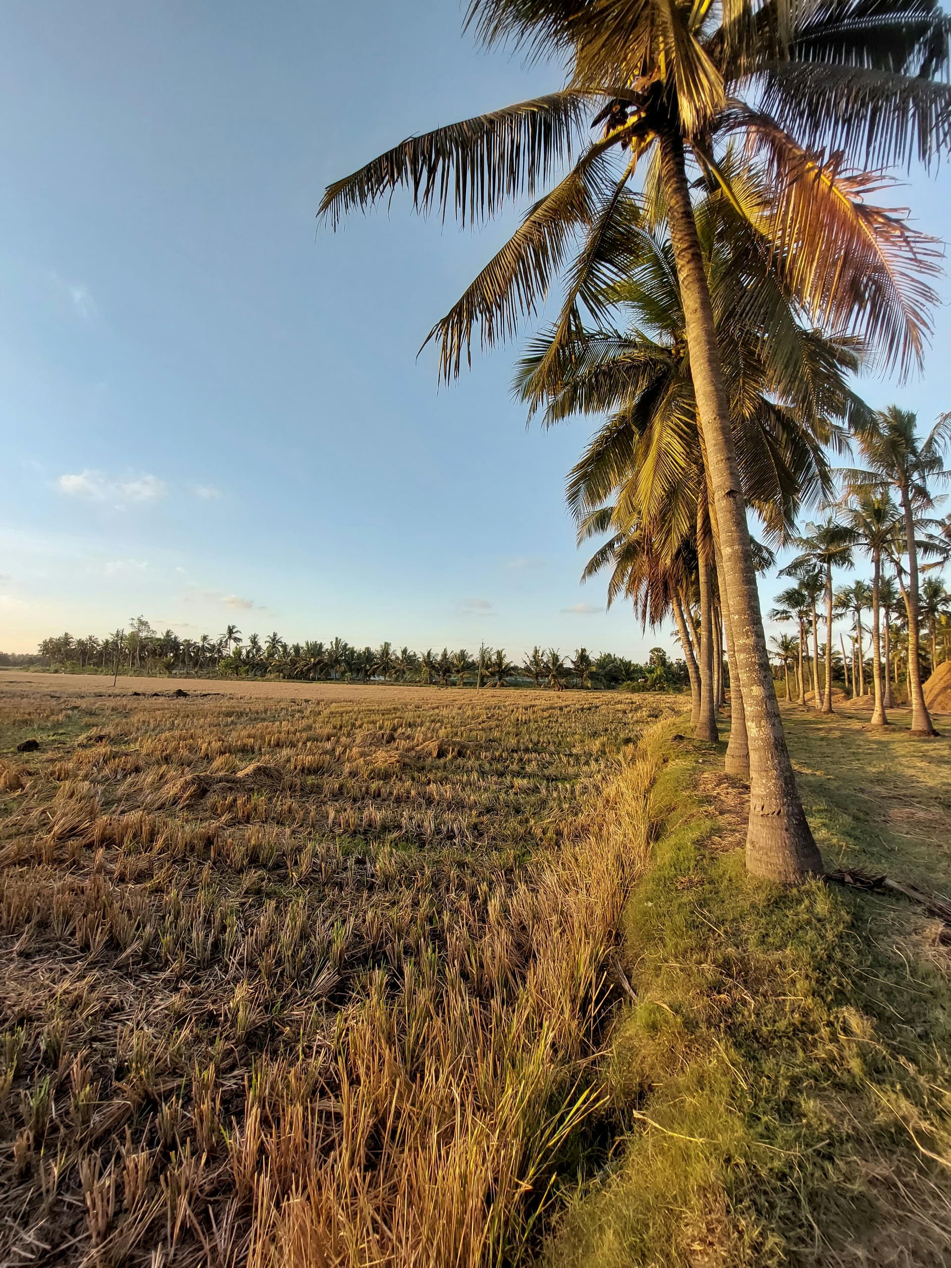 Assortment of sustainable beauty products