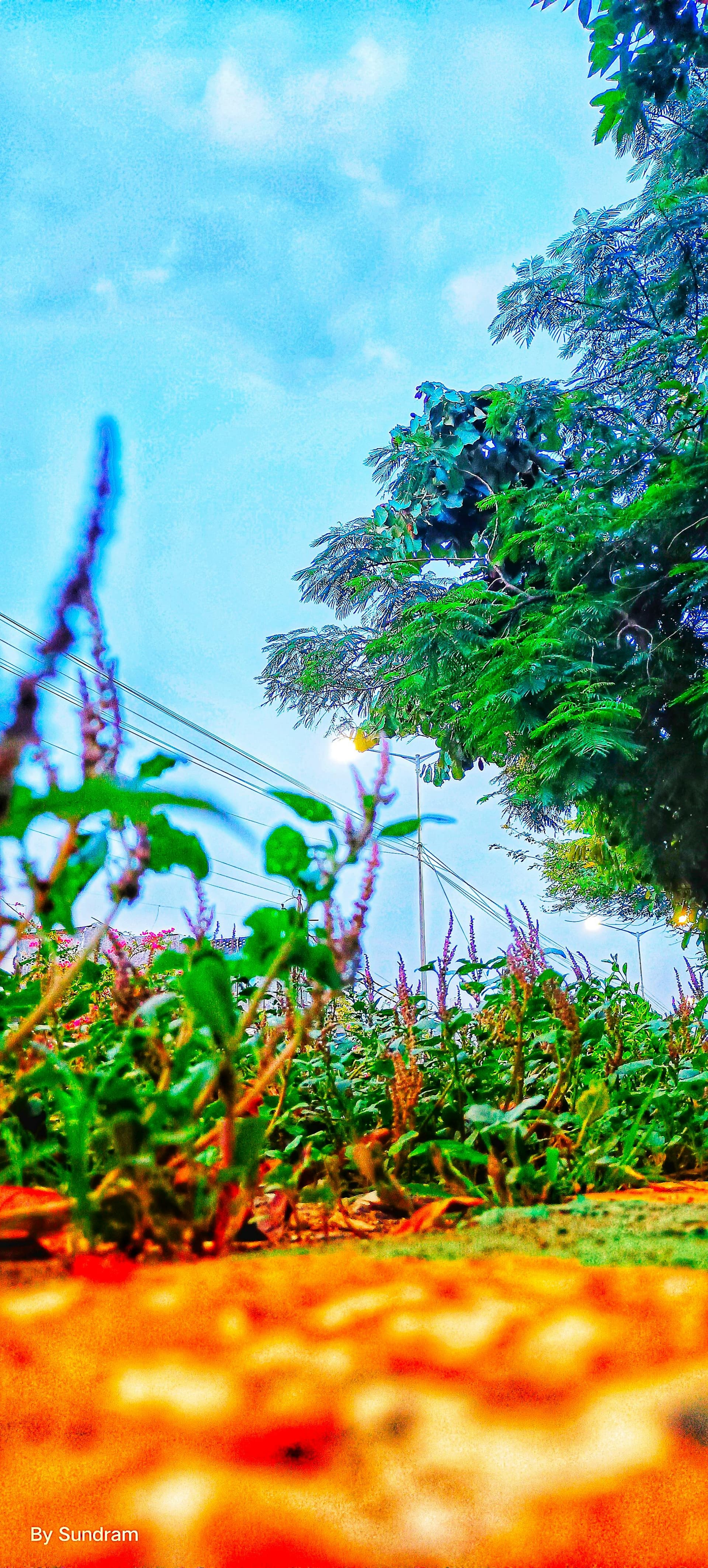 A person using a drag-and-drop website builder on a laptop, with AI suggestions visible on the screen.