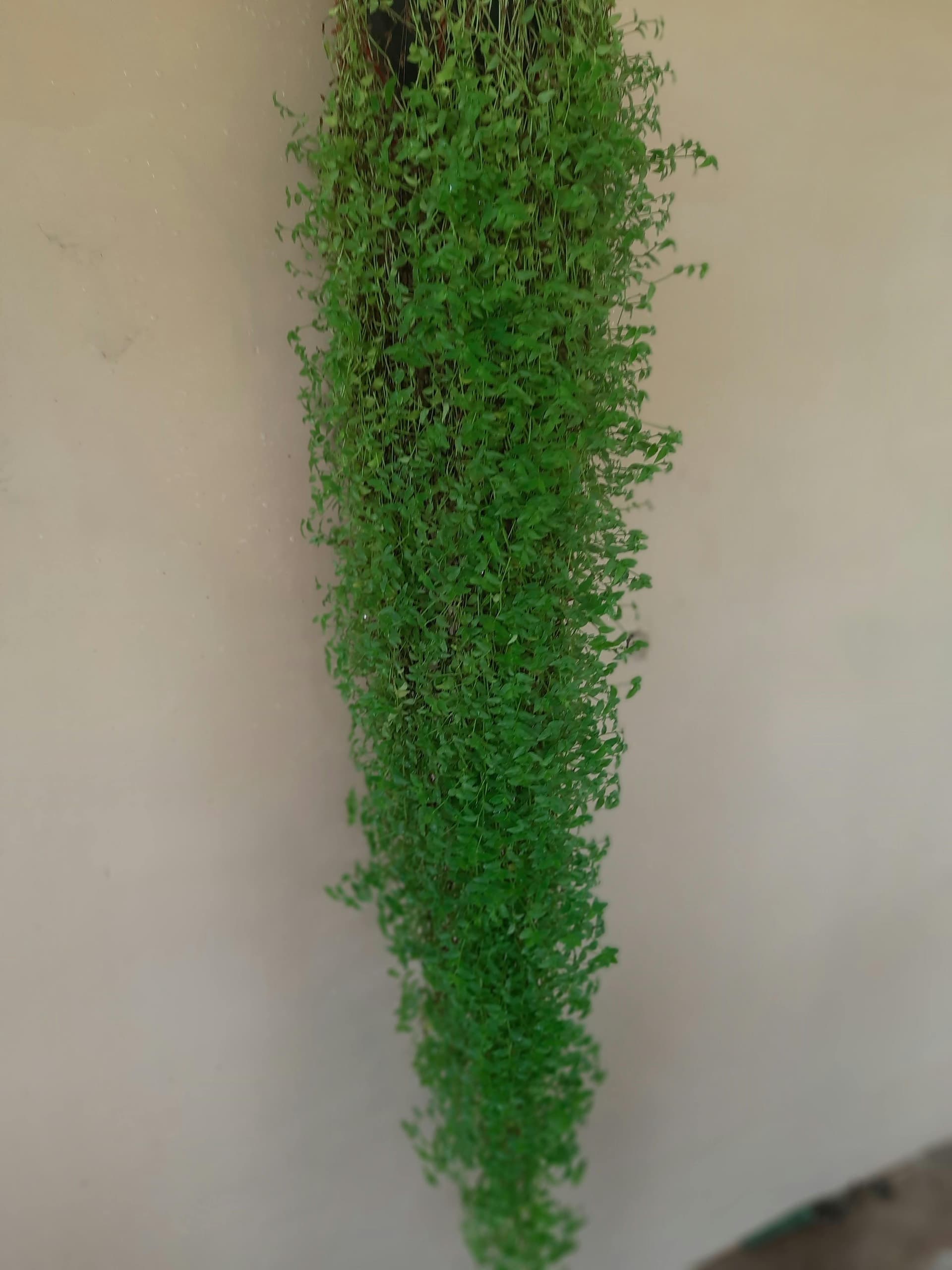 Abstract illustration representing the Jamstack architecture with icons for JavaScript, APIs, and Markup, interconnected and surrounded by concepts like CDN, serverless functions, and headless CMS.