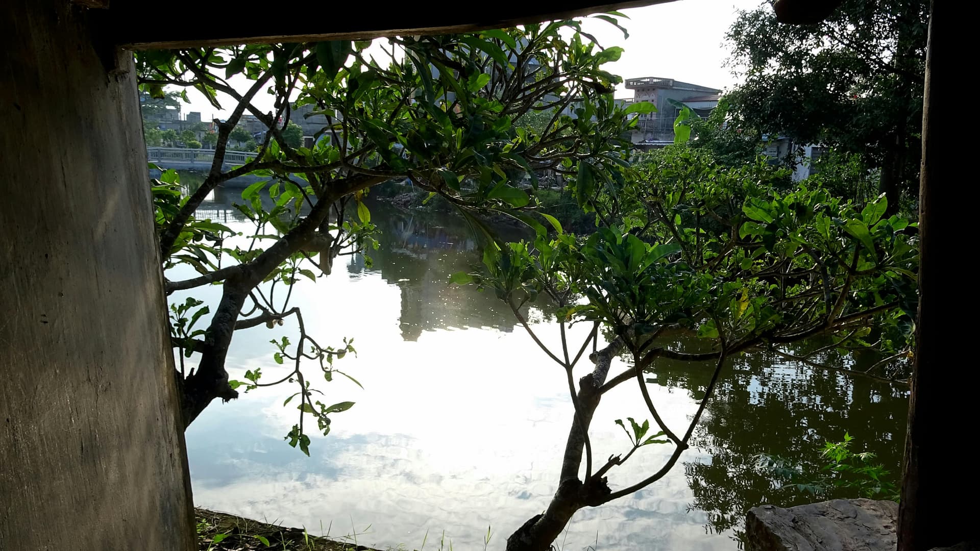 Close-up of hydrated skin texture